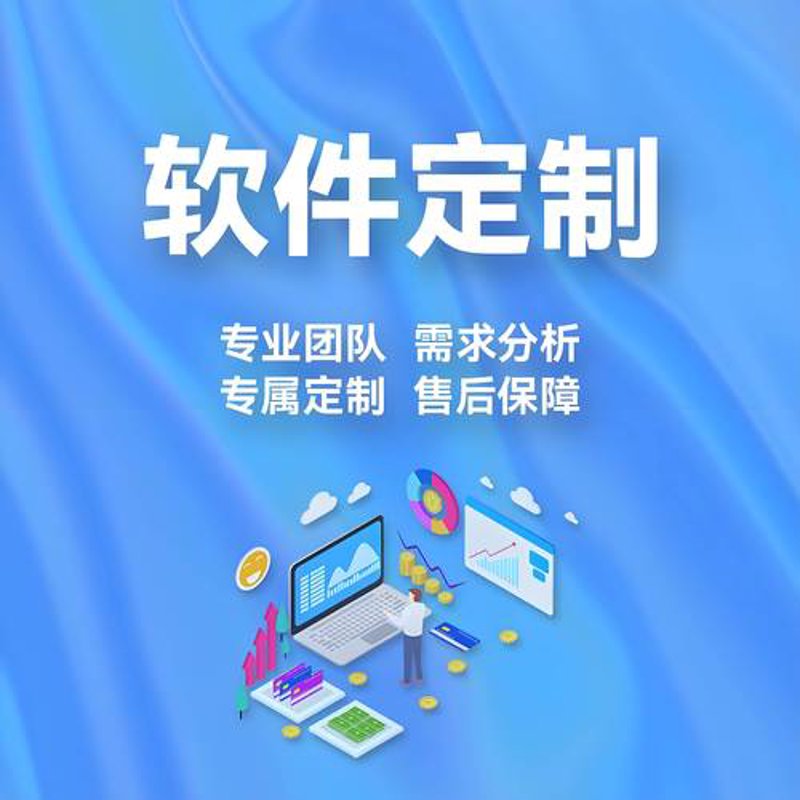 软件定制开发：让企业焕发新活力的新引擎
