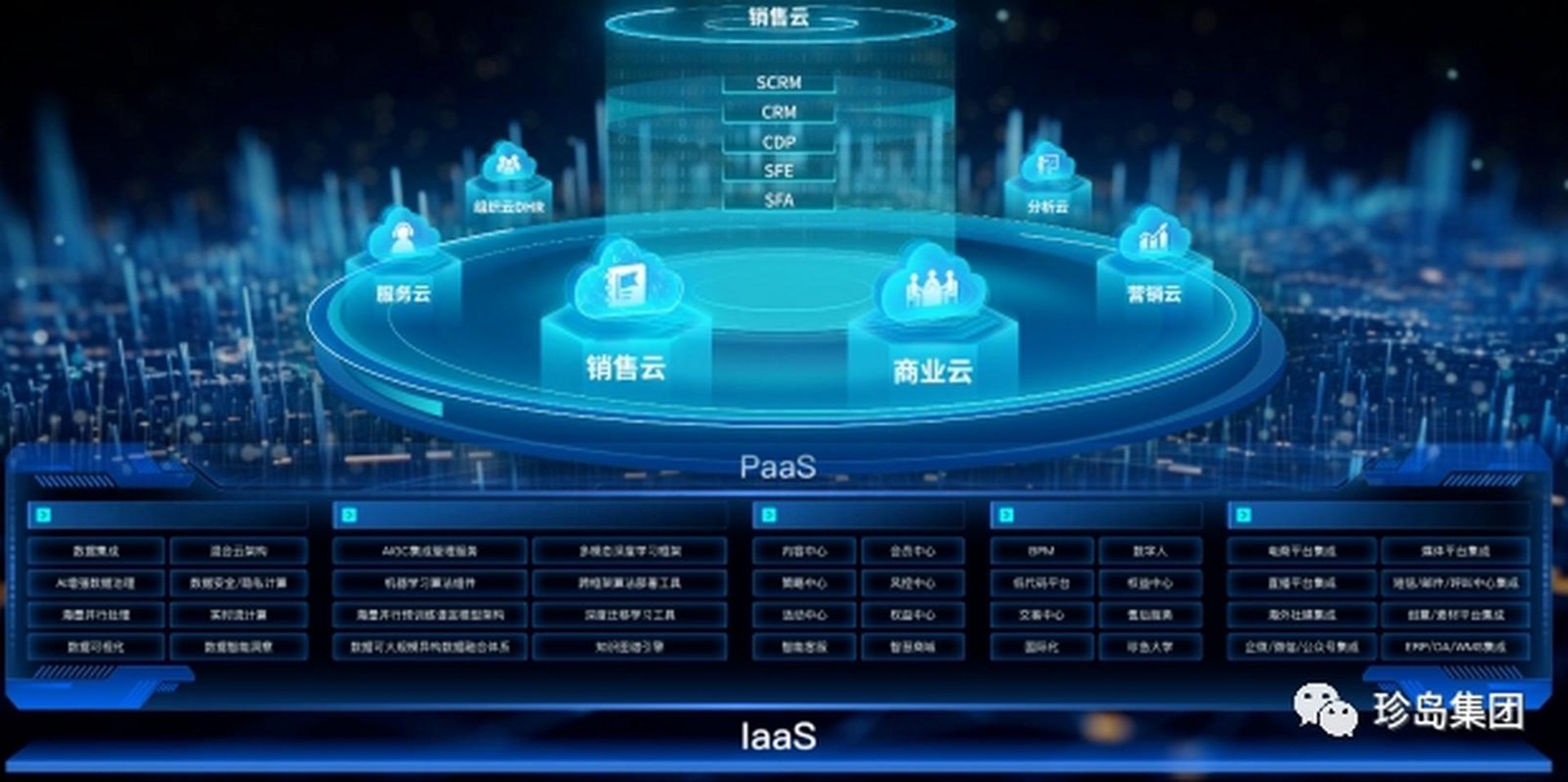 怛赛率信息技术